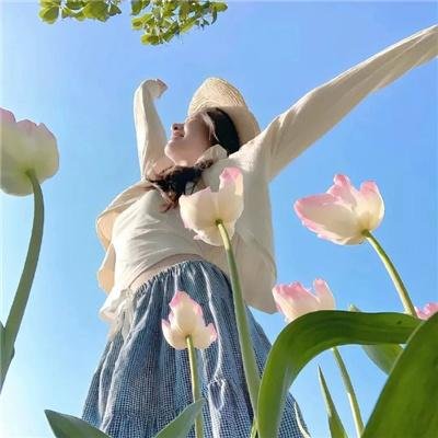 大力水手的复仇 海报
